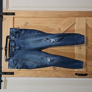 Torrid | Distressed Premium Jeggings | 24R